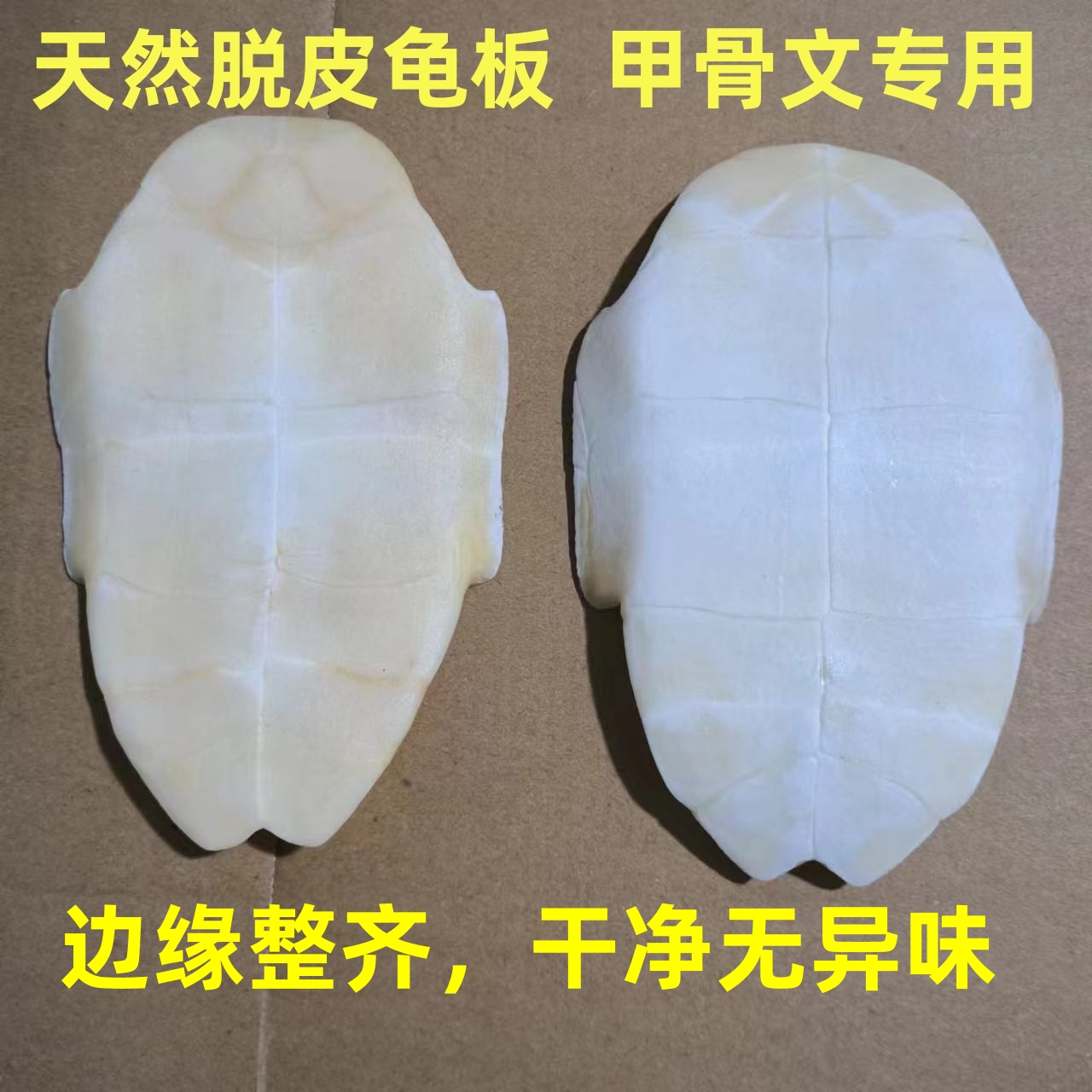 甲骨文专用描绘涂色脱皮怀旧龟壳