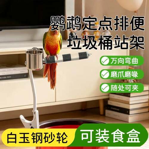 鹦鹉定点排便训练站架