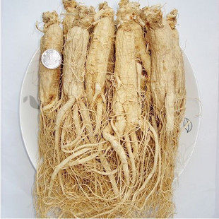 人参白生晒参东北长白山特产12-13支250克新品500克25支参农直销