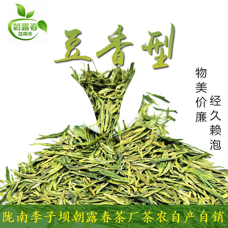 甘肃陇南文县碧李子坝豆香浓香型大叶子43号茶2026茶农直销包邮