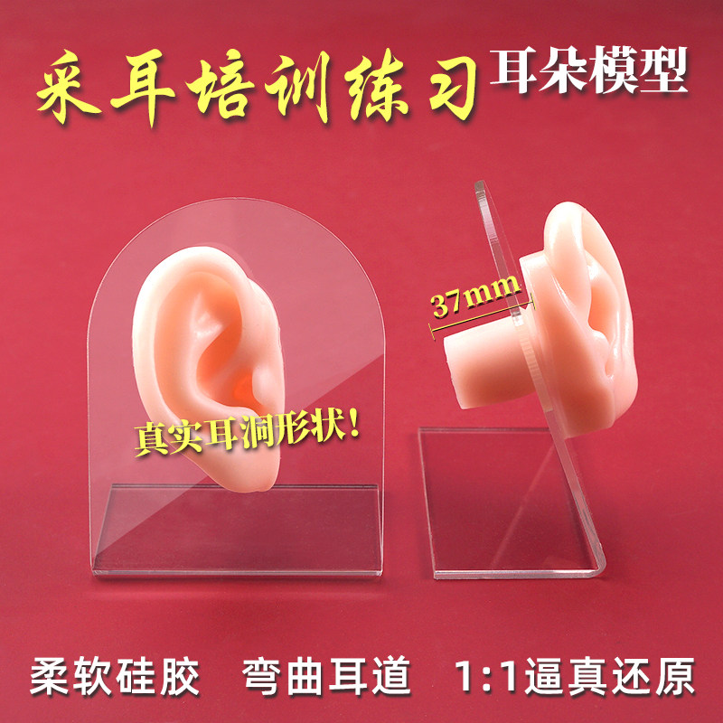 采耳硅胶耳朵模型练习高级仿真采耳工具套装培训学员假耳朵长耳道 - 实物图