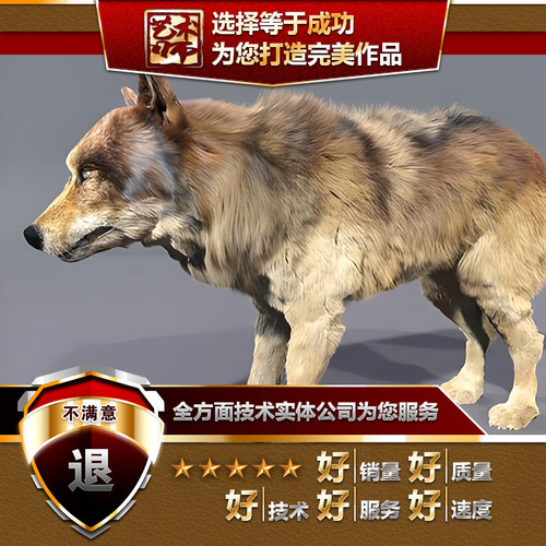 blender四足动物野怪兽怪物毛发表情骨骼绑定动作动画C4D代做MAX