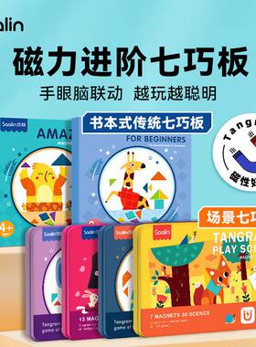 Saalin莎林磁性七巧板儿童小学生益智几何拼图块搭建积木便携玩具