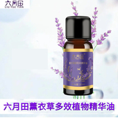 新疆伊犁六月田薰衣草植萃多效植物精华油抗皱紧致保湿