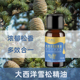 六月田大西洋雪松精油单方植物精油香薰护肤木质类精油10ml 瓶