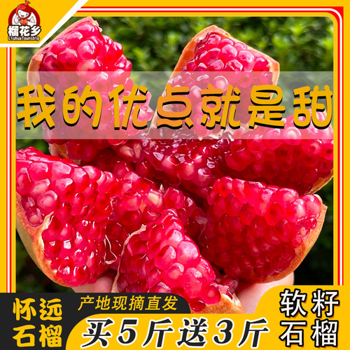 榴花乡怀远石榴软籽石榴