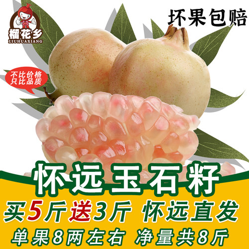 怀远石榴玉石籽榴花乡