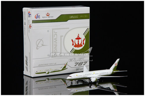 BruneiSultan'sFlight飞机模型