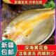 新疆 包邮 黄花鱼新鲜冷冻速冻大黄鱼鲜活生鲜深海鱼黄鱼鲞小黄鱼