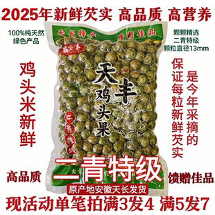 芡实鸡头果2025天长龙岗特产新鲜带壳鸡头米二青特级450g现货 包邮