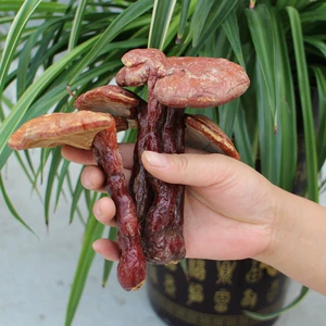 Ganoderma lucidum, натуральные хлопья ганодермы, порошок ганодермы, наружное применение для ухода за волосами, целые ветки и ломтики, искусственно выращенные, недикие 250 г