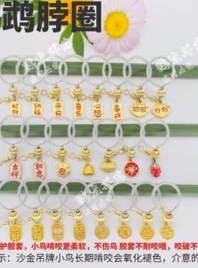 小太阳鹦鹉脖圈金太阳脖套放飞链子牡丹虎皮玄凤和尚项链遛鸟神器