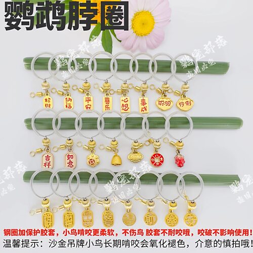小太阳鹦鹉脖圈金太阳脖套放飞链子牡丹虎皮玄凤和尚项链遛鸟神器