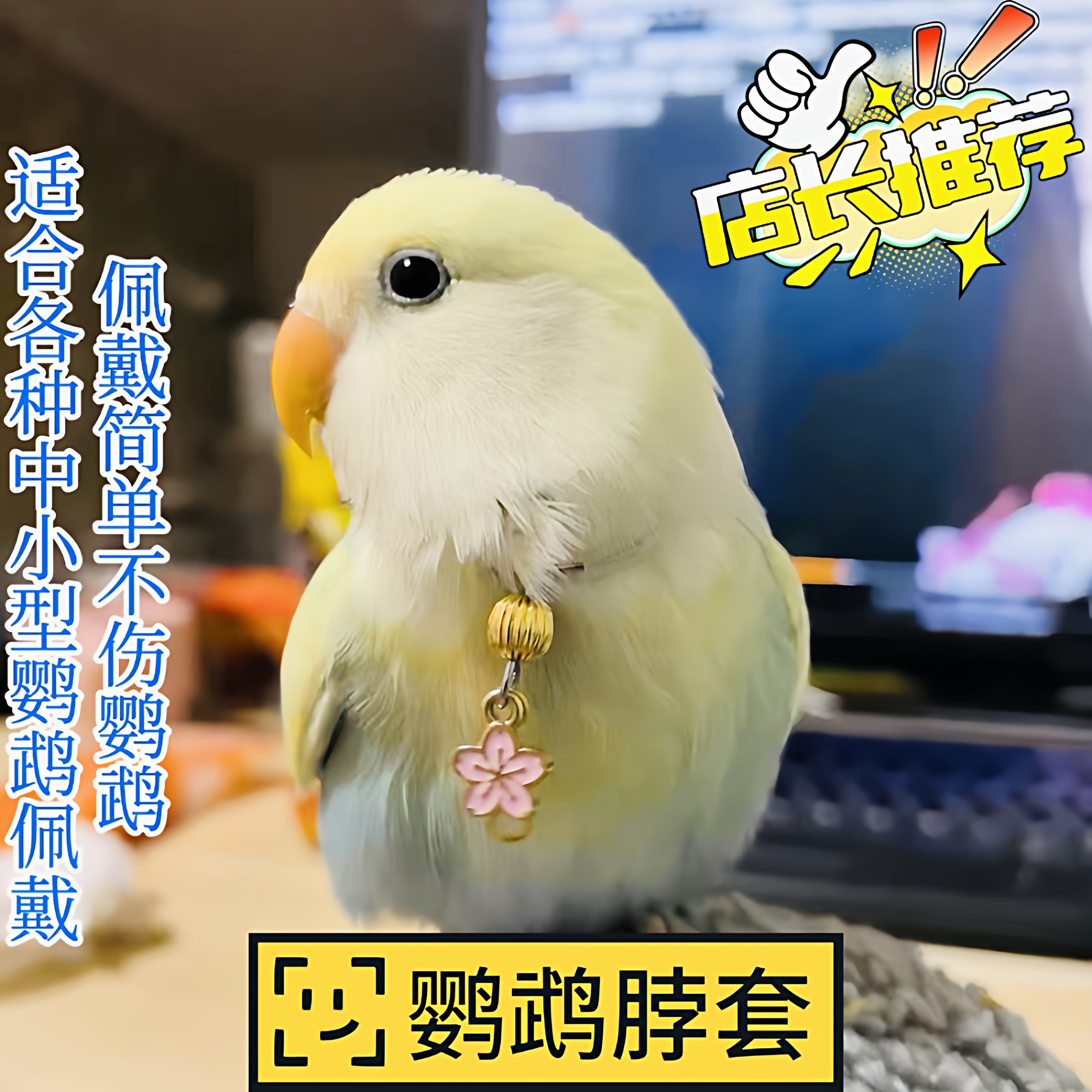 牡丹鹦鹉脖套栓鸟链子放飞项链小太阳玄凤虎皮和尚鹦鹉项链遛鸟