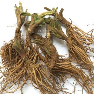 新鲜野生地胆头地胆草苦地胆天芥纯根500g干货中药材草根煲汤红花