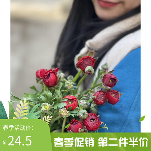 牡丹球根价格 牡丹球根图片 星期三