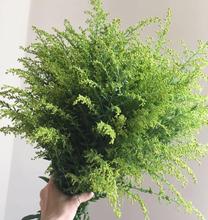 扎花农种植手工制作干花直销鲜切花搭配花草 鲜花黄莺草配草10支