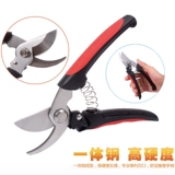 Один год Санхуа Магазин Цветочный художник филиалы и обрезка.