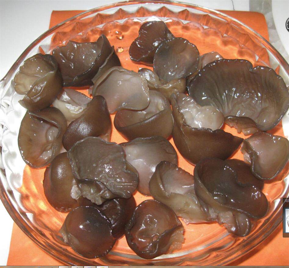 正宗四川特产通江椴木野生黑木耳碗耳干货无硫软糯500克2023新货