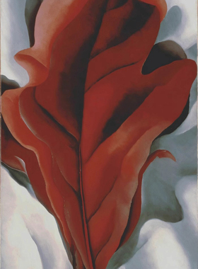 欧姬芙奥基夫油画Georgia O'Keeffe现代花卉装饰画手绘复制品植物