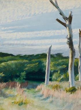 画家霍普Edward Hopper霍珀四棵枯树手绘油画客厅田园风景装饰画