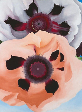 Georgia O'Keeffe奥姬芙罂粟花油画欣美画店名画手绘临摹复制品