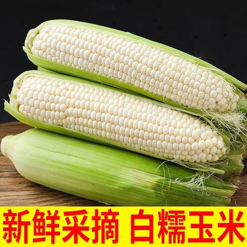 新鲜白糯玉米现摘现发