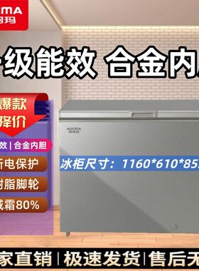 澳柯玛309L大容量冷暖转换冰柜