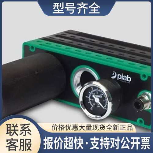 瑞典PI真空发生器P5010.00.AK.05 PI发生器PCL.P1AN.F.DD.SV议价