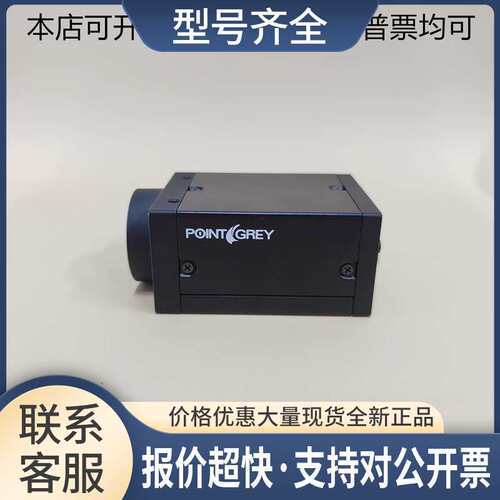 POINT GREY/灰点 GS3-U3-91S6C-C 工业检测CCD彩色相机 910万像素