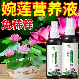 睡莲碗莲营养液通用水溶肥水培种子发芽生根促开花防黄叶专用肥料