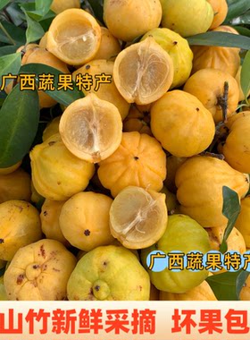 新鲜岭南山竹广西野山竹