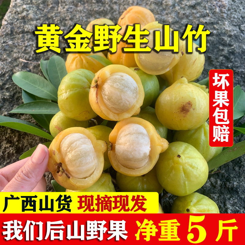 新鲜岭南山竹广西野山竹