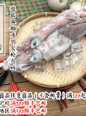 出水超低温活冻不泡水不包冰