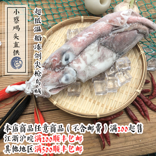头直供 超低温船冻剑尖枪乌贼鱿鱼选项不同规格不同 小蔡码