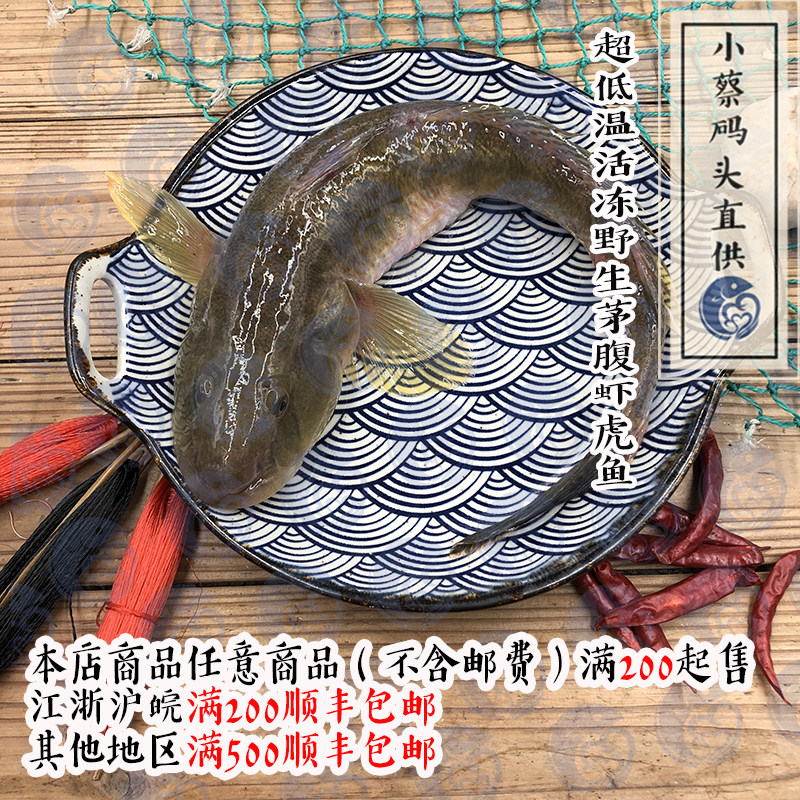 【小蔡码头直供】超低温活冻野生茅腹虾虎鱼2条共500g+标题为准