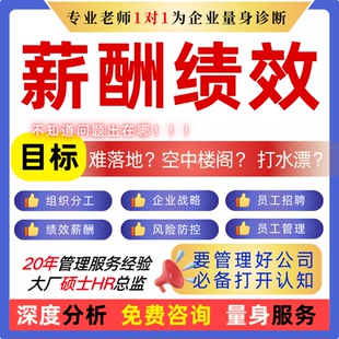 企业战略管理风险人力资源绩效薪酬全套制度考核电商公司全案定制