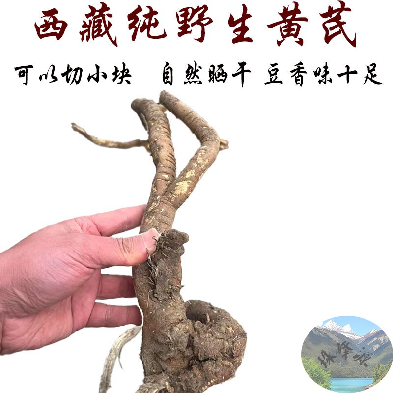 西藏直发250克包邮 西藏正宗野生黄芪 藏黄芪 野生黄芪豆香味十足
