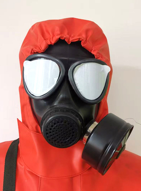05防毒面具fmj全面罩防护罩毒烟毒气化学辐射生化喷漆滤毒罐FMJ05