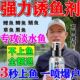 神经诱导素饵料钓鱼小药垂钓用品钓饵料添加剂鲫鱼鲤鱼草鱼诱鱼