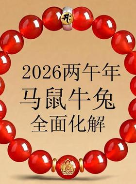 天然红玛瑙本命年手链男女十二生肖属马本命佛珠水晶手串情侣礼物