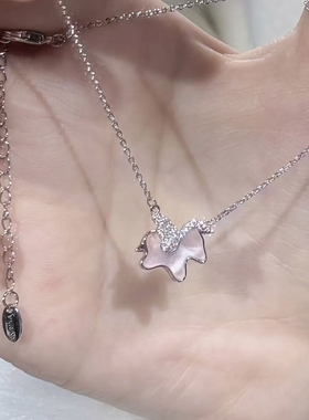 新年轻奢小众百搭小马锁骨链