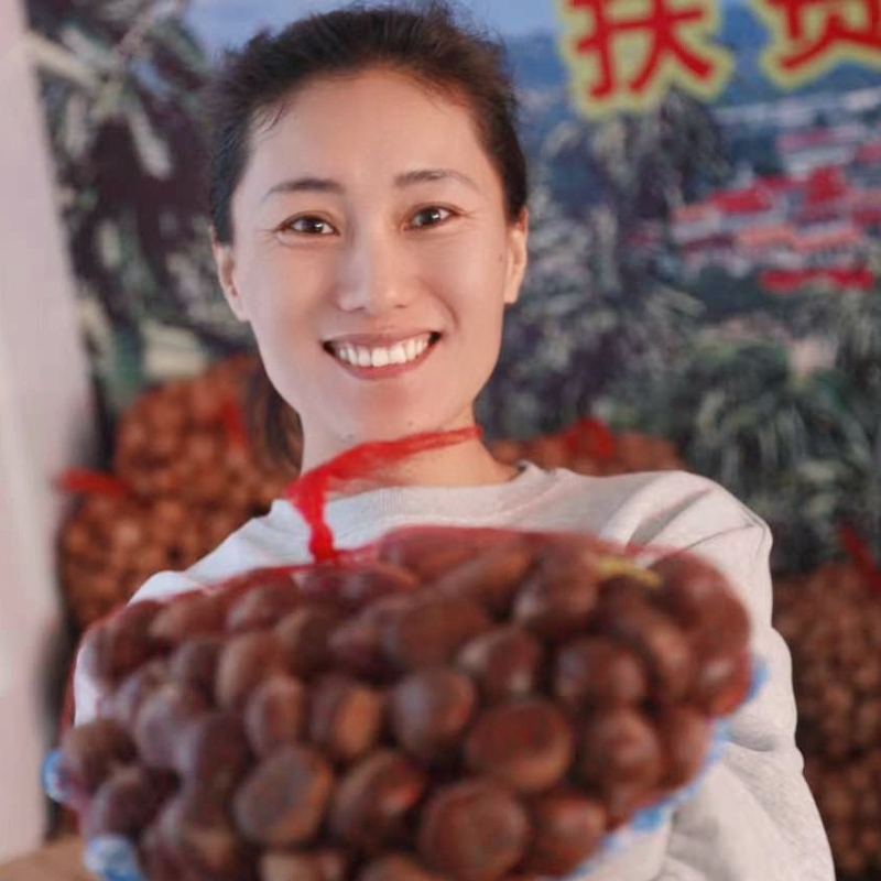 河北青龙生鲜板栗颗颗精选软糯甜