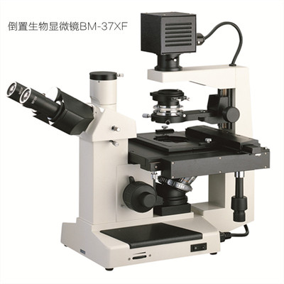 BM倒置生物显微镜CMOS成像系统