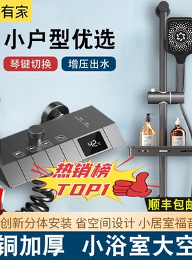 全铜简易淋浴花洒套装分体式钢琴沐浴室浴缸冷热出租屋家用枪灰色