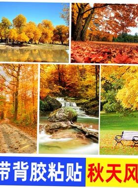 秋天风景海报装饰画红叶森林树木落叶图片自然山水客厅墙贴壁画