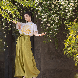 瞳莞汉服2024改良宋裤 高腰百搭日常万事兴龙宽松 新中式