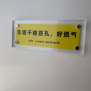生活千疮百孔，好透气  抽象文案发疯文学冰箱贴 装饰品 贴饰
