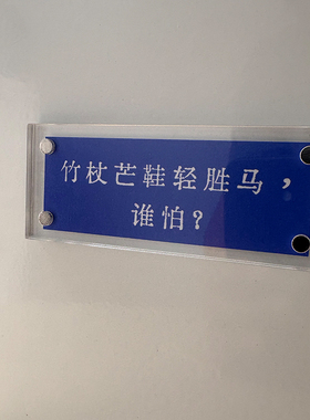 竹杖芒鞋轻胜马，谁怕？ 苏轼周边文创 定风波诗词 冰箱贴 装饰品