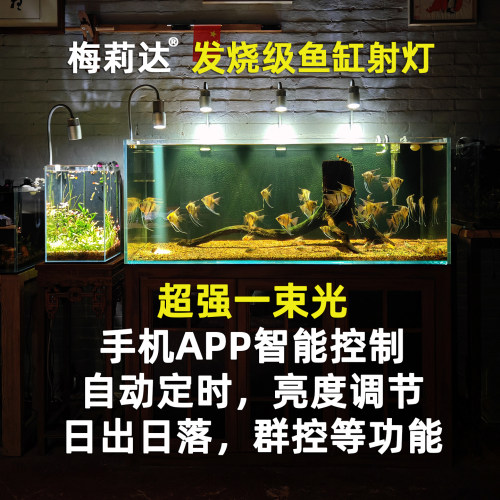 梅莉达发烧级鱼缸射灯